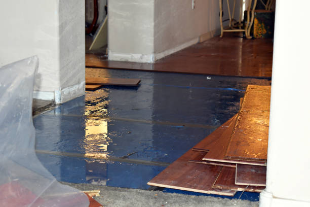 Professional Water Damage Restoration technician working in Echo Lake, CA